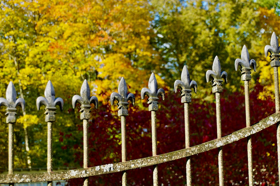 Best cordless garden tools UK