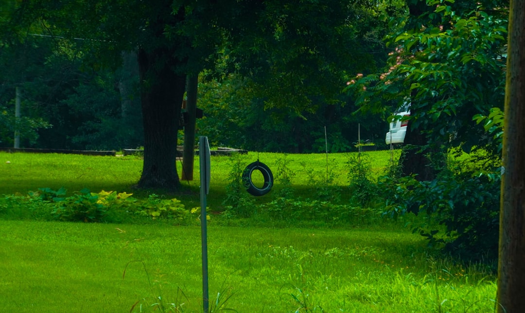 Electric vs petrol lawn mower UK